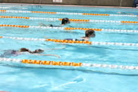 swimming.jpg